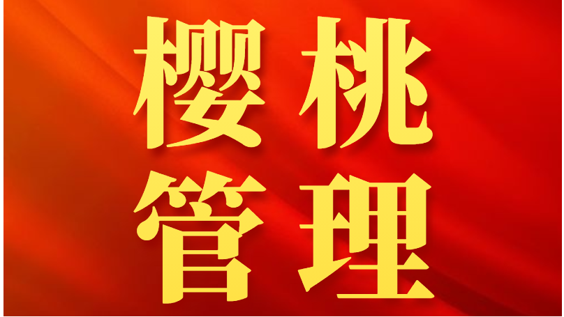 樱桃施什么肥最大最甜？