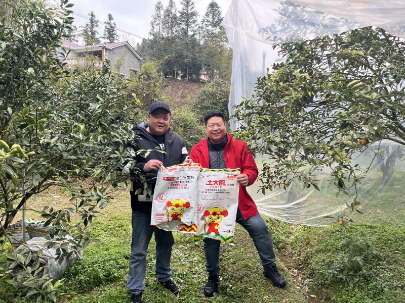 土壤酸化导致脆蜜金桔黄化-土大厨
