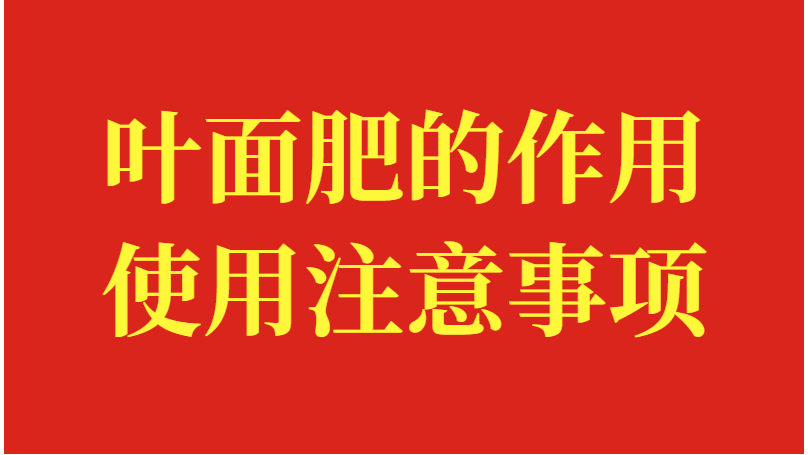 叶面肥的作用及使用注意事项