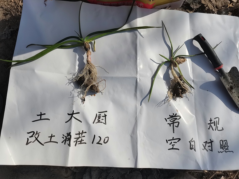 大蒜用肥对比