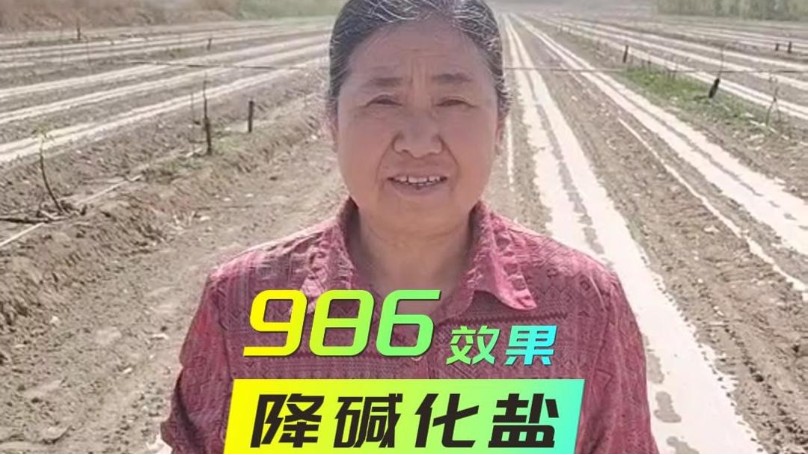 盐碱地土壤改良，哪些方案更有效？