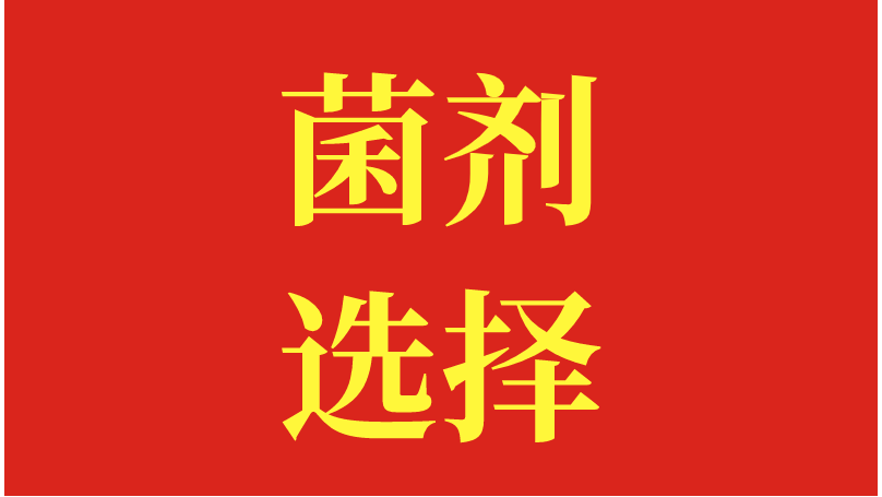 微生物菌剂如何选？经销商必备单品