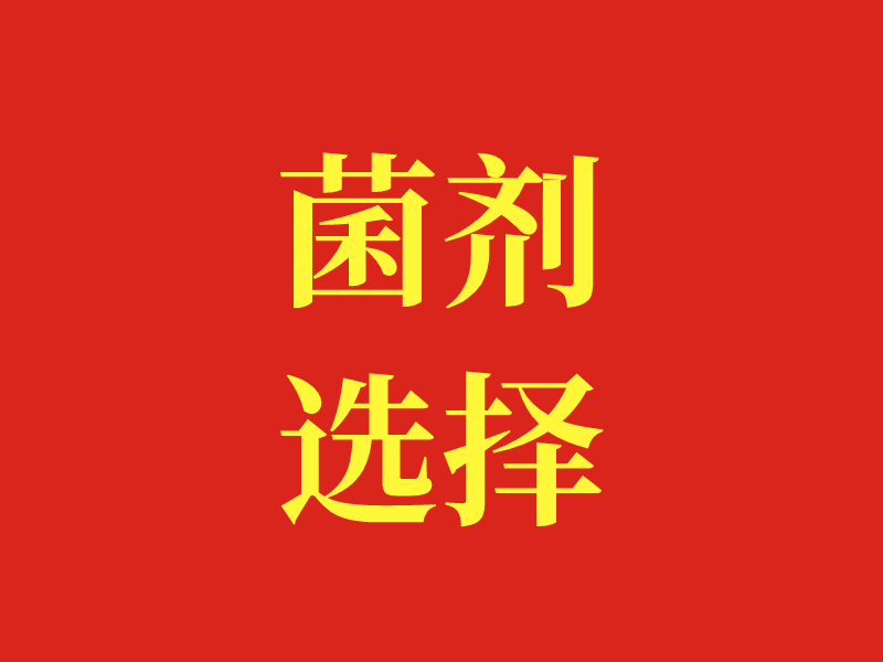 菌剂选择
