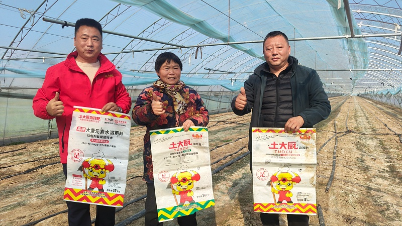 肥料-山东甜瓜种植户