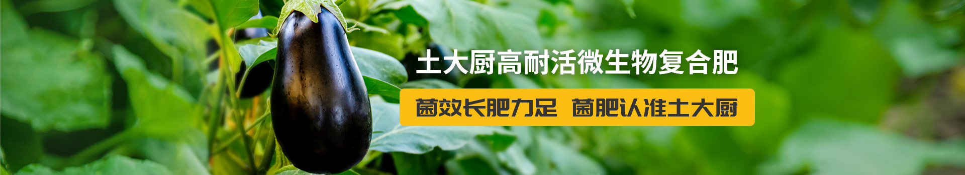 功效颗粒大量元素肥