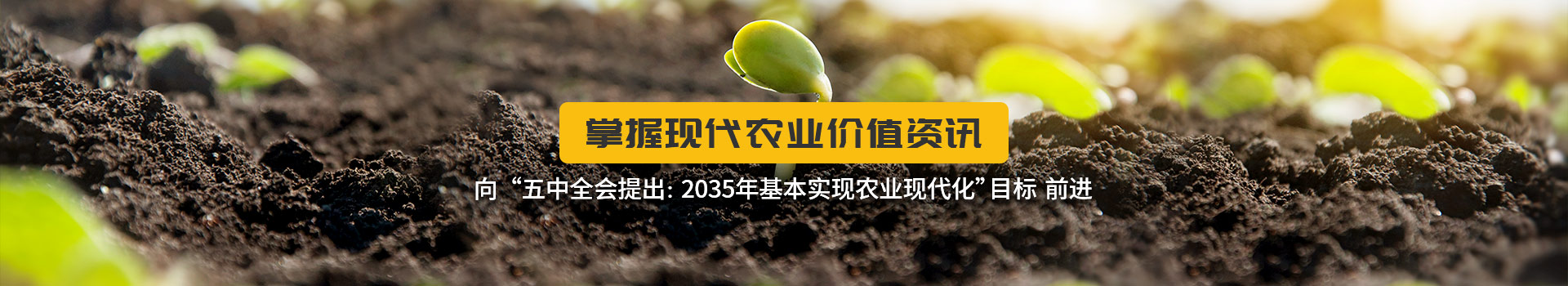 土大厨动态