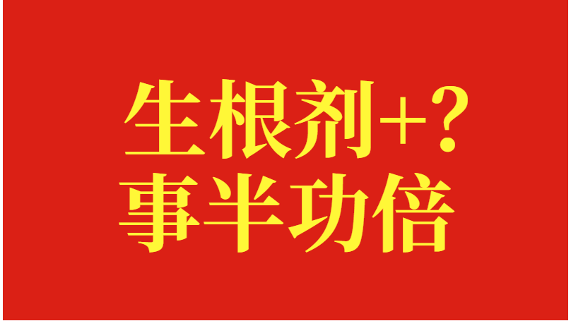 生根剂搭配哪个产品，才能事半功倍