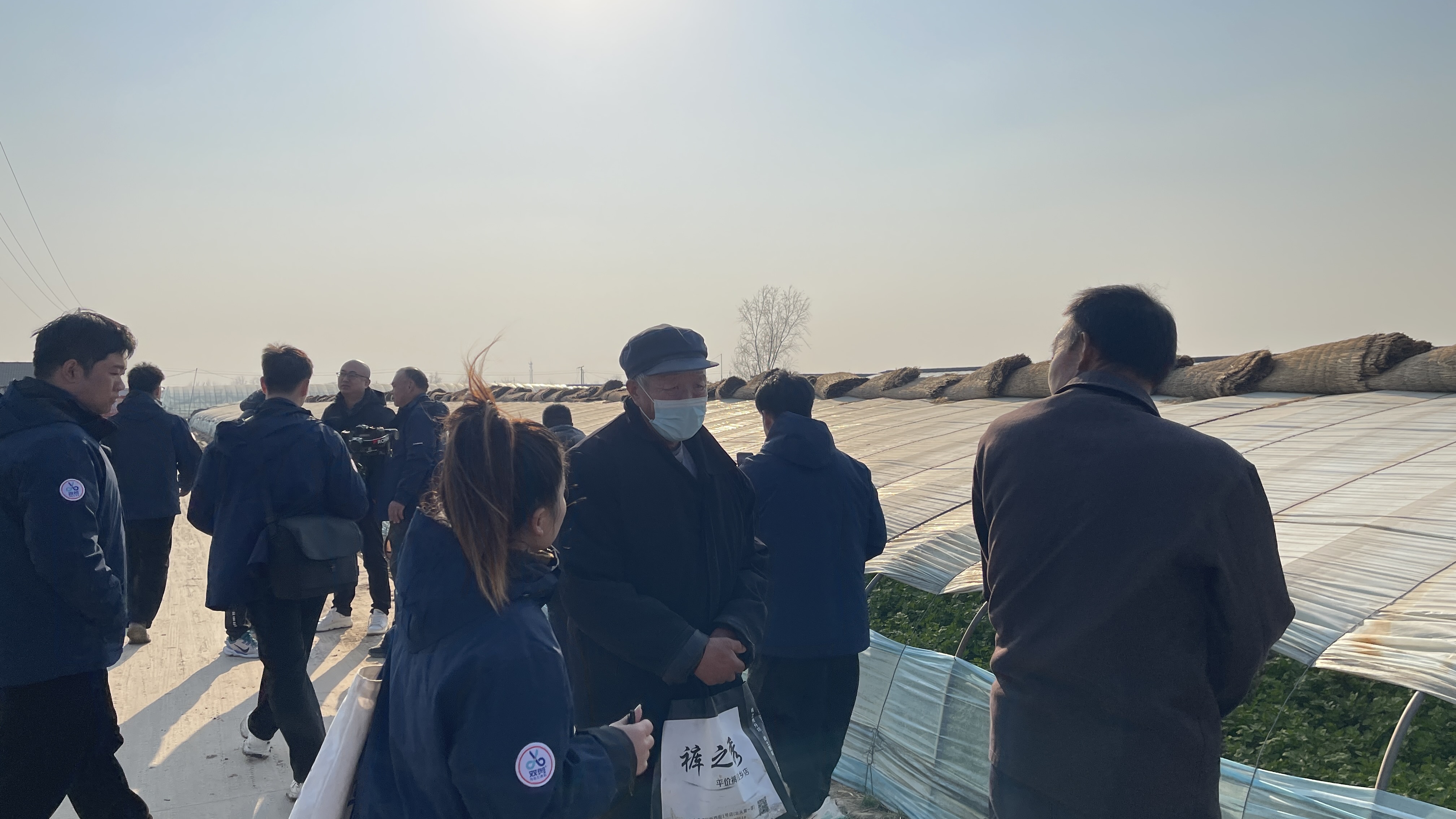 开春用菌剂-山东金乡观摩会