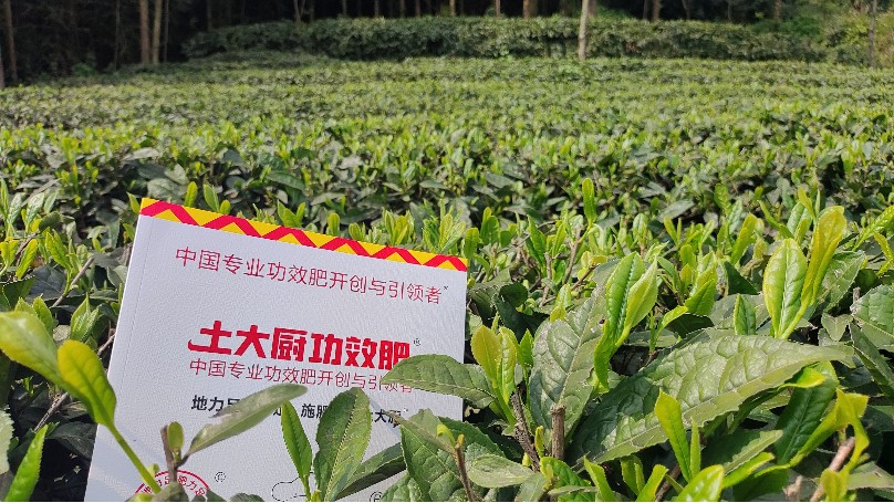 叶面肥如何选？
