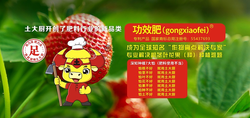 作物痛点解决专家-官网