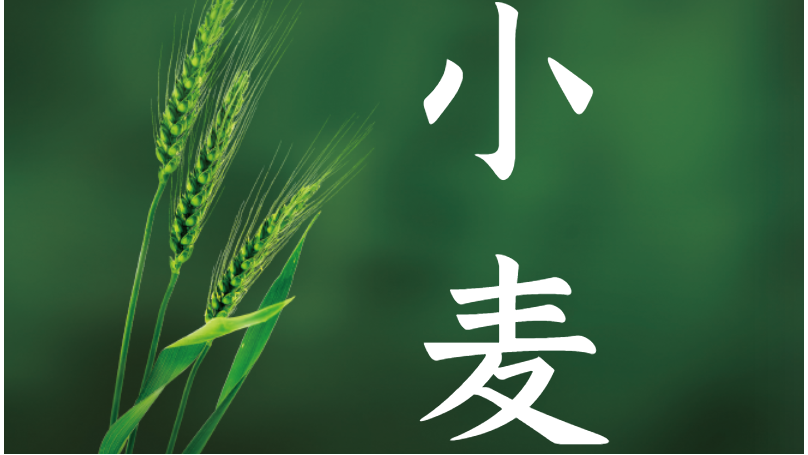 小麦高产防冻方案