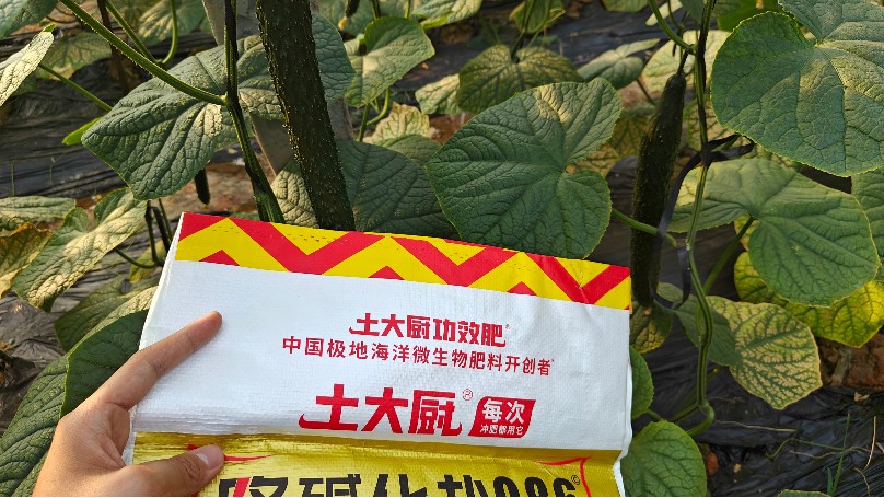盐碱地改良，哪些方法更合适（上）
