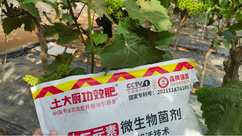 微生物菌剂-辽宁葡萄