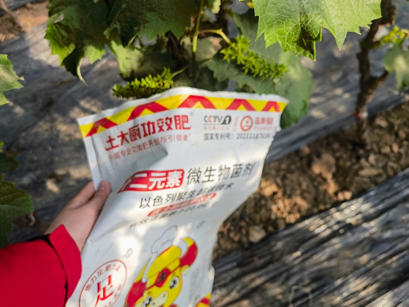 微生物菌剂-辽宁葡萄 (2)