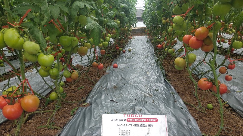土大厨功效肥效果案例，邀您见证