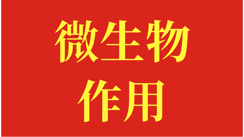 微生物菌的作用，为您揭秘