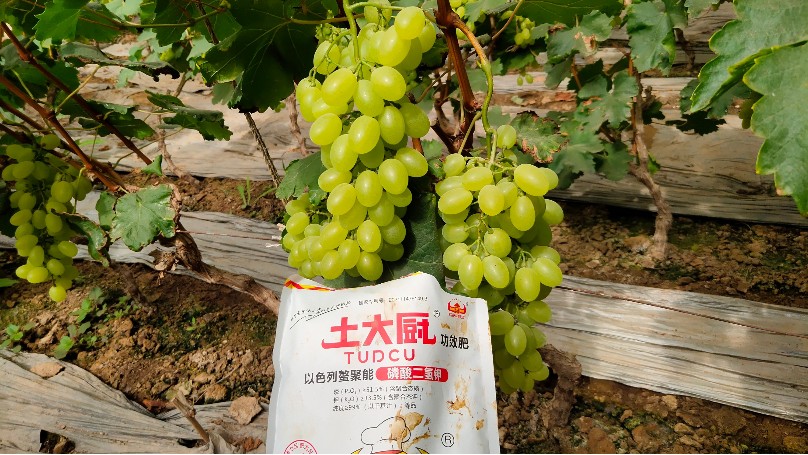 磷酸二氢钾的功效和作用，土大厨为您分析
