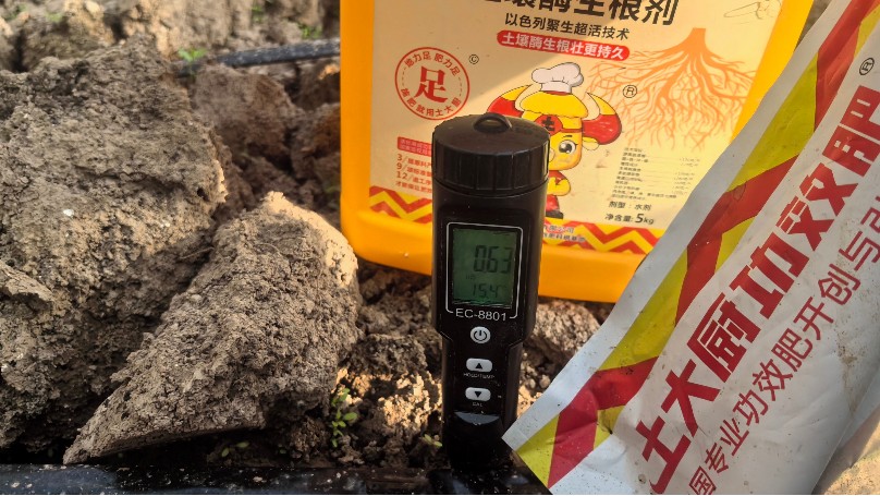 温室葡萄冬季管理，这几点一定要加强重视！