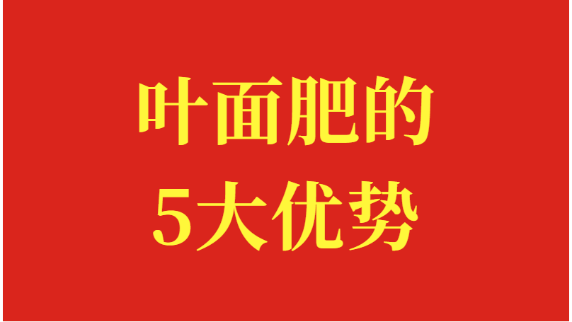 叶面肥的5大优势，你知道几个？