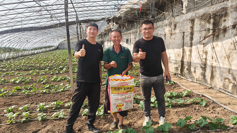 黄瓜种植-山东黄瓜 (3) 黄瓜种植-山东黄瓜 (3)