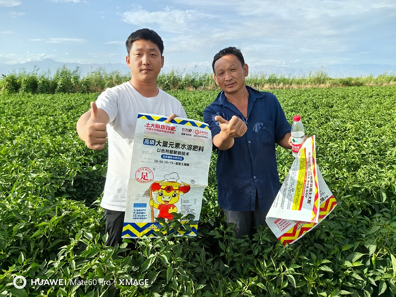 辣椒施肥—新疆色椒用土大厨