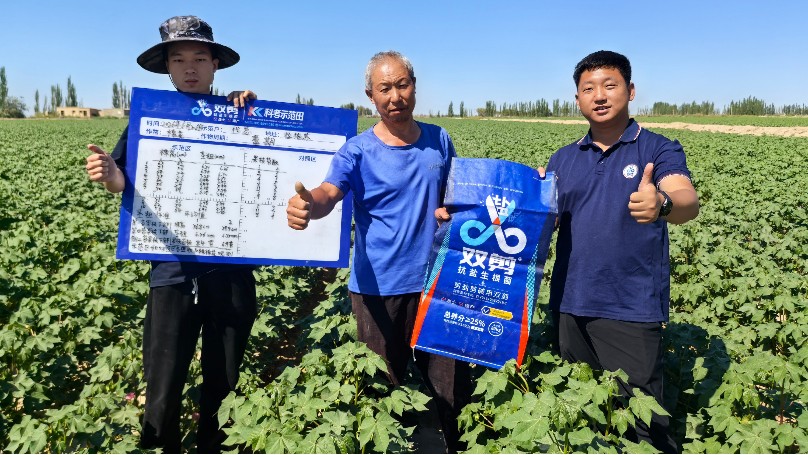 新疆轮台辣椒