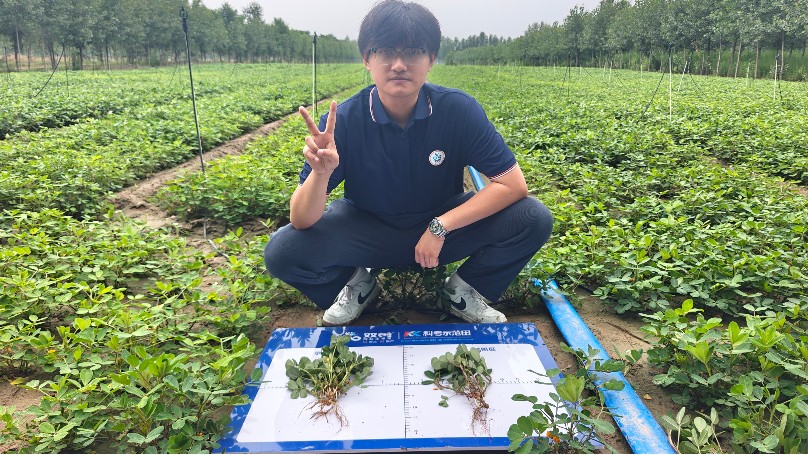 花生底肥最好用什么肥料？