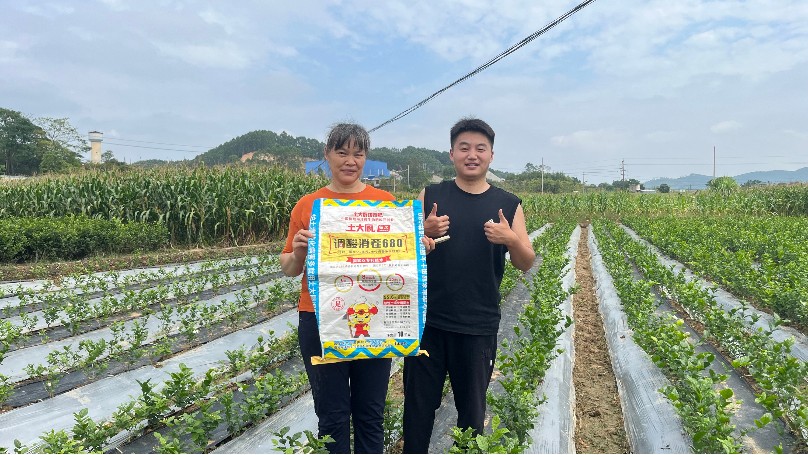 土壤酸化板结病害多怎么办，横州茉莉花问题解决（下）