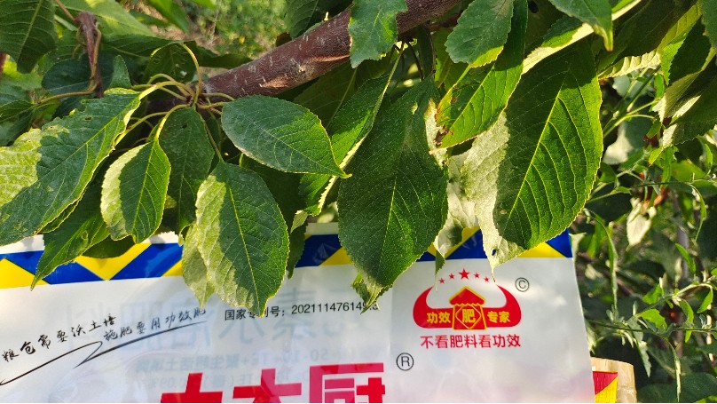 水溶肥为什么选好的？种植户田大哥分享