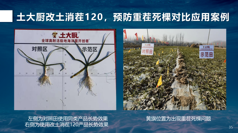 改土消茬120实验