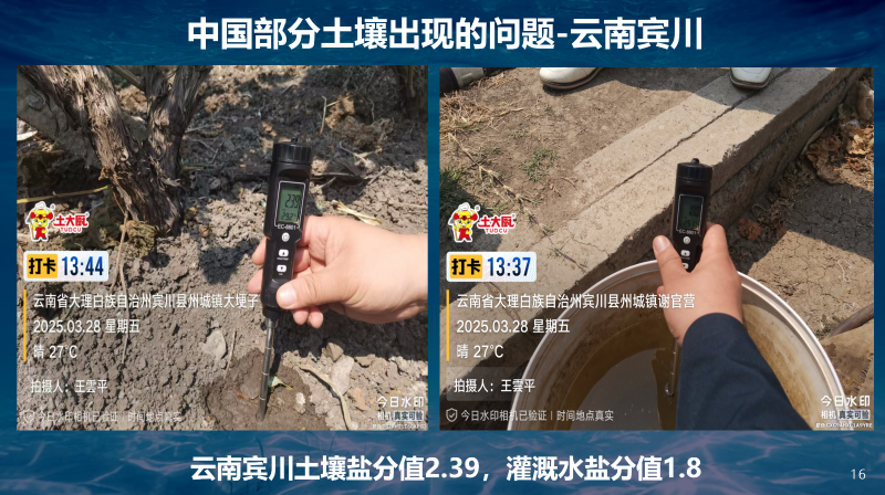 云南土壤问题