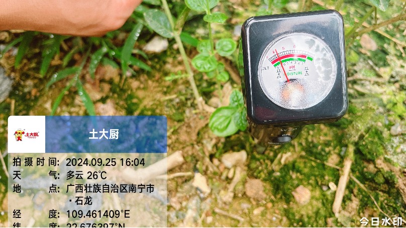 土大厨高耐活菌—广西茉莉花案例