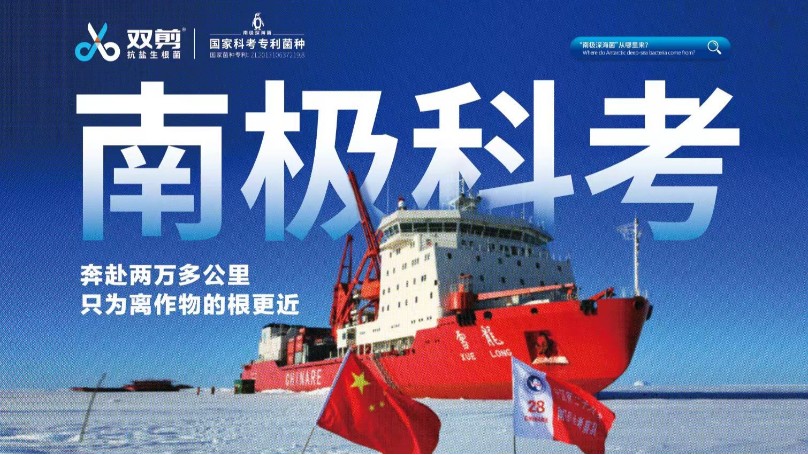 南极科考