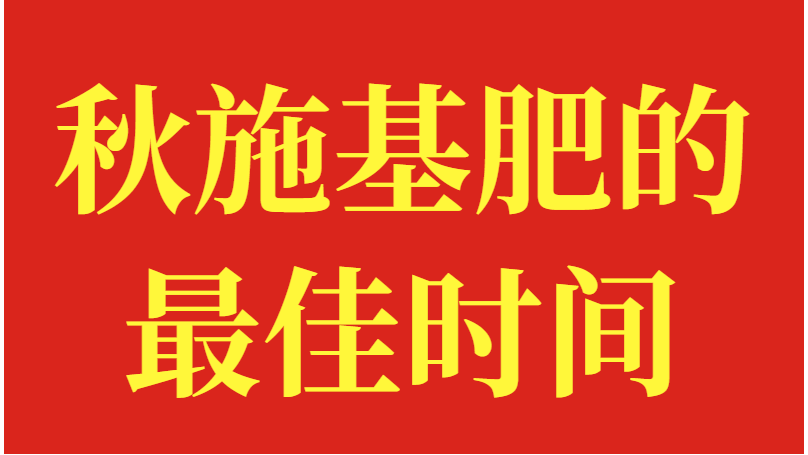 秋施基肥的最佳时间