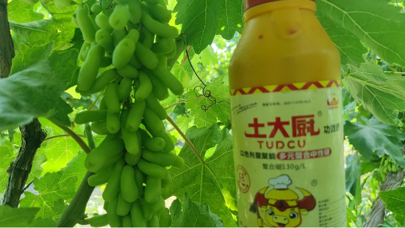 硼肥如何用？效果更显著