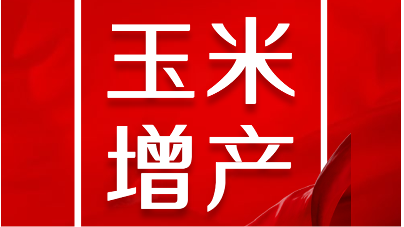土大厨功效肥推荐，玉米种植用什么肥更好？