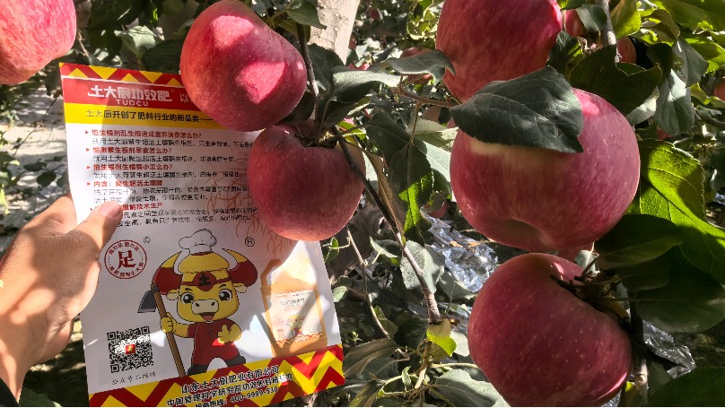 果树秋施基肥用什么肥料好？（上）