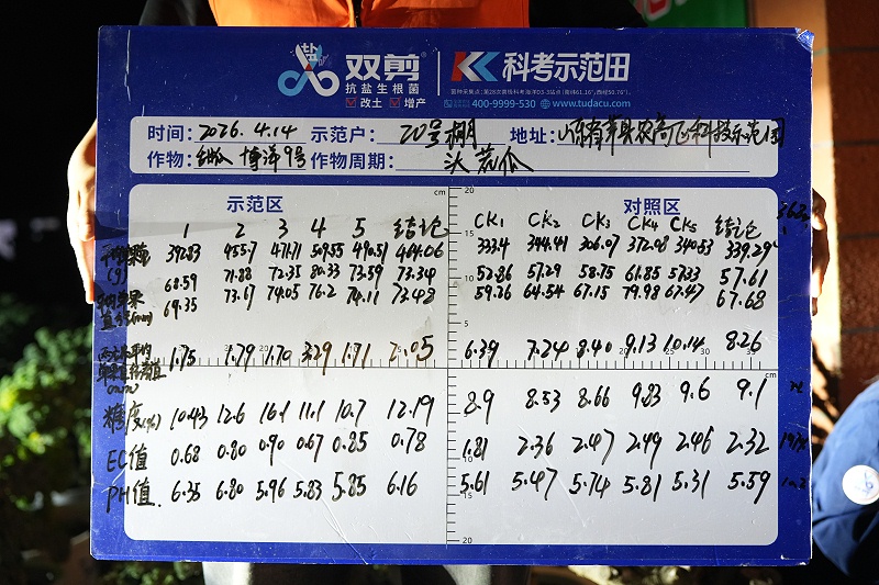 山东莘县甜瓜测数据