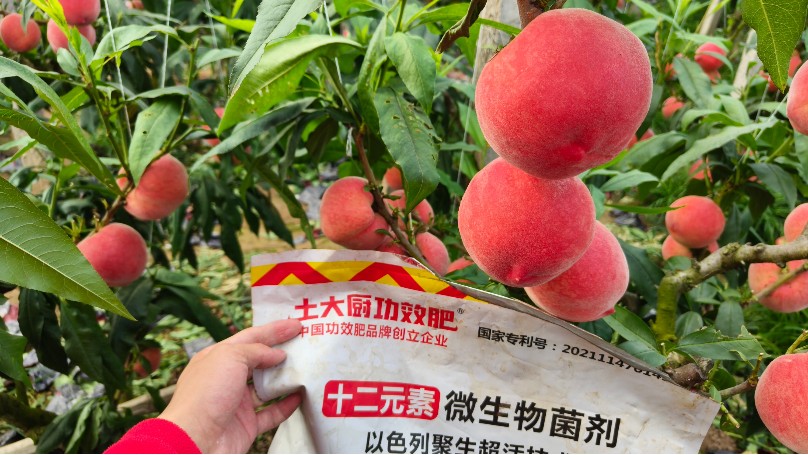 微生物菌剂的功效机理（下）