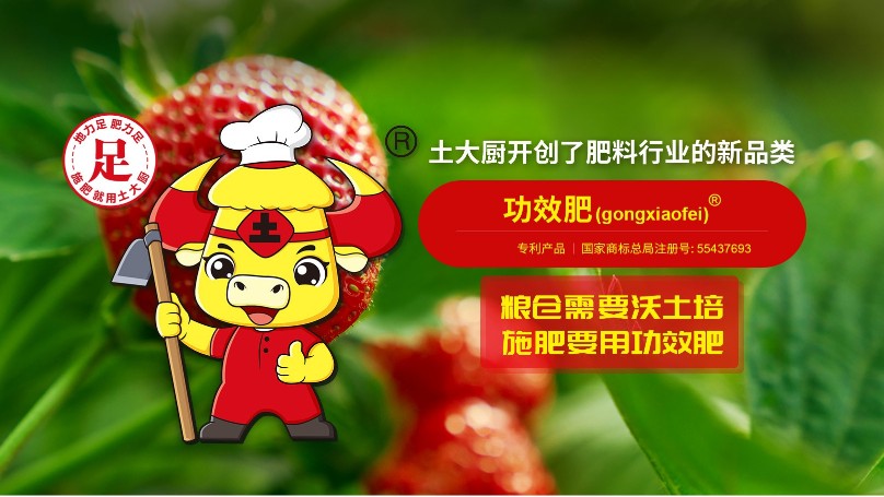 土大厨开创新品类