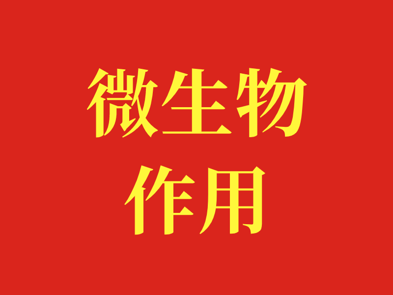微生物作用
