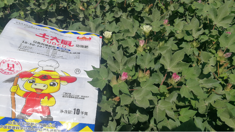 土大厨功效水溶肥—效果案例展示