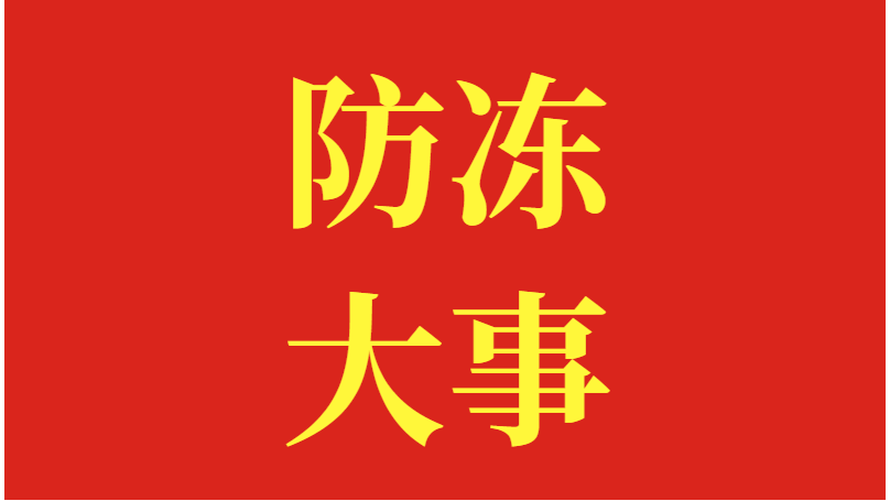 叶面肥快用起来，防冻又营养