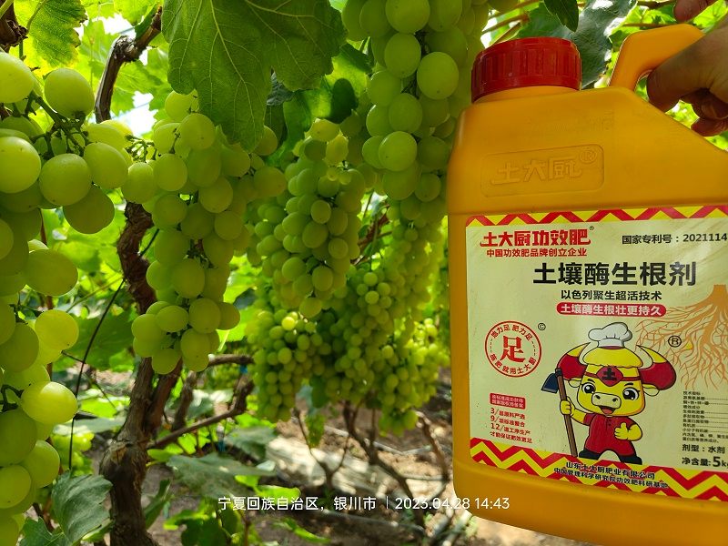 水溶肥—土大厨宁夏葡萄