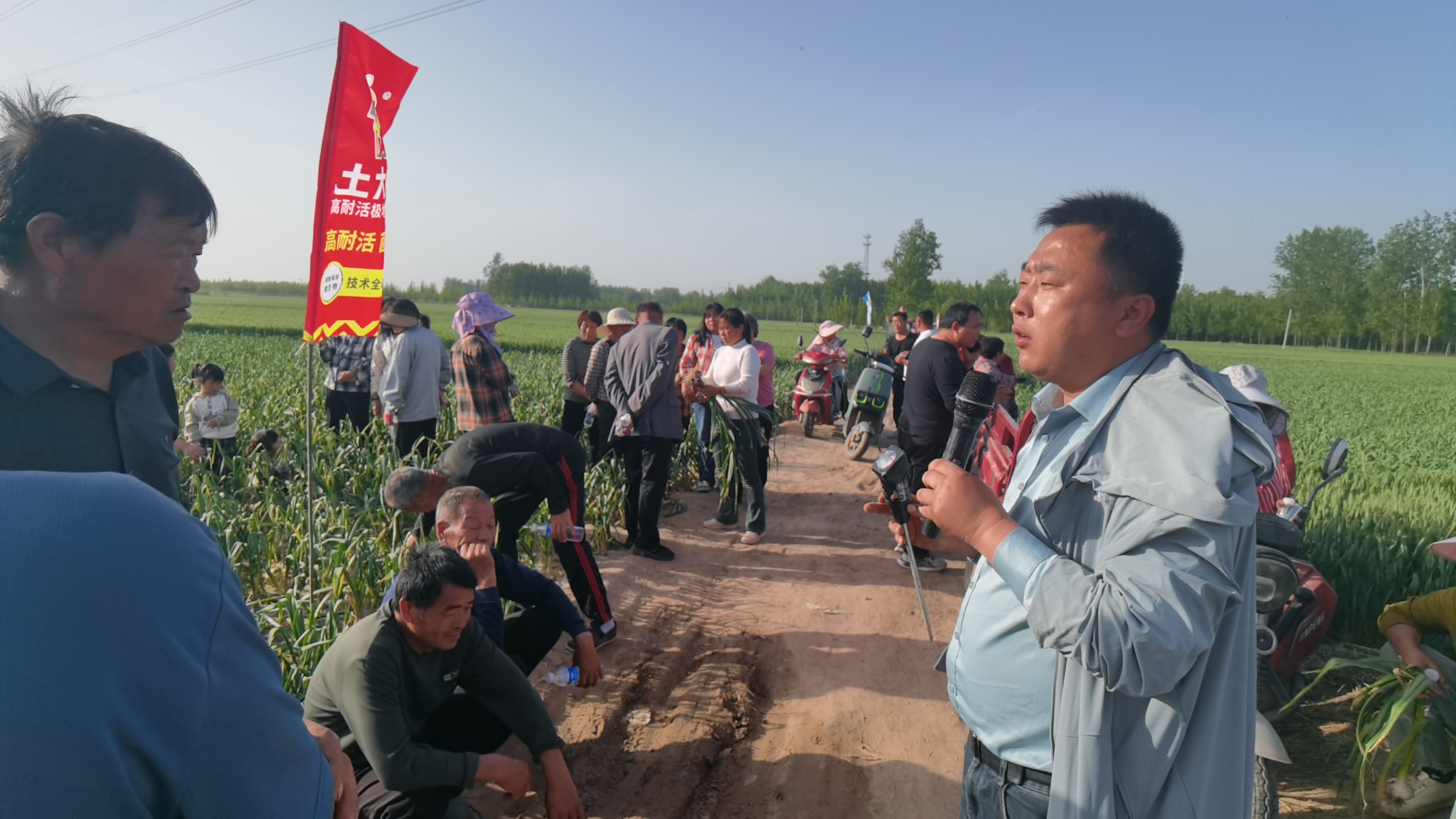 微生物肥料-山东大蒜观摩会 (1)