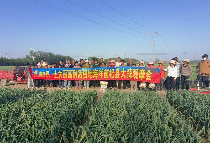 微生物肥料-山东大蒜观摩会 (2)
