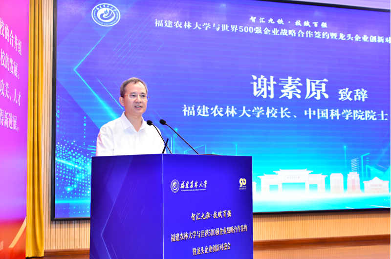 福建农林大学90周年校庆-土大厨 (1)