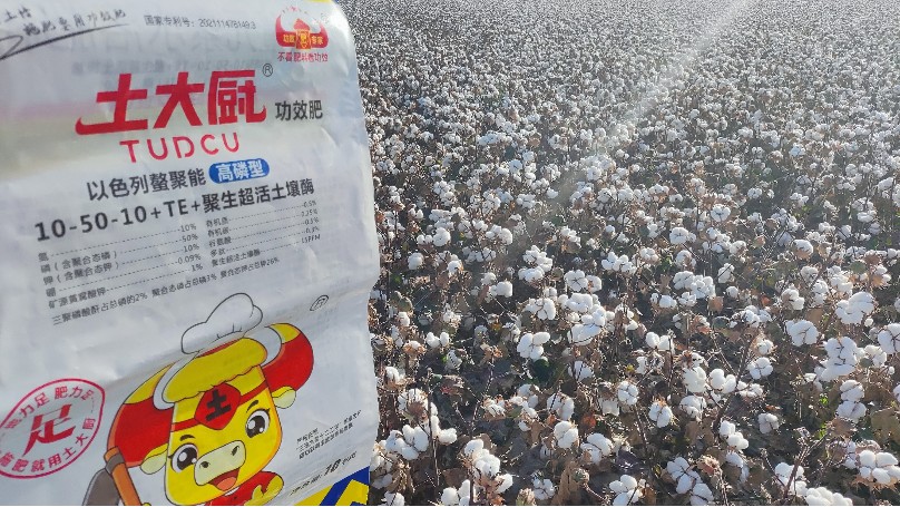 土大厨功效水溶肥，新疆棉花案例