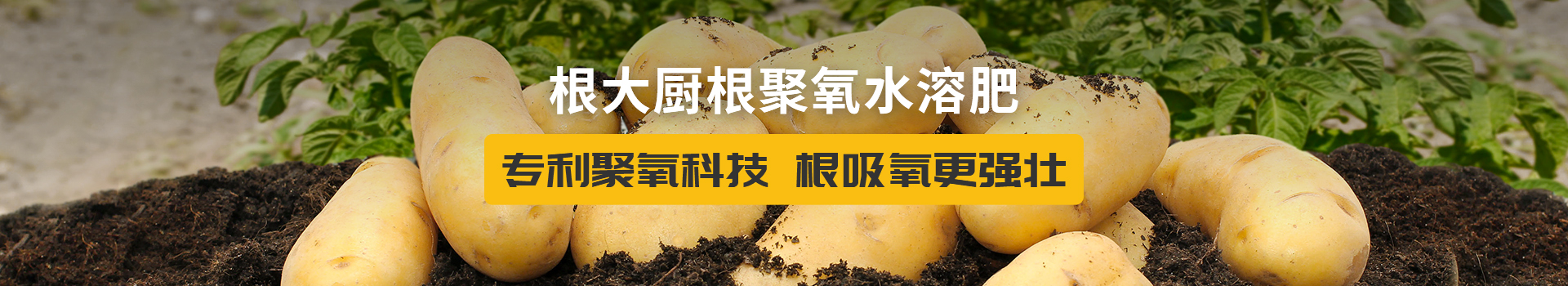 功效水溶肥